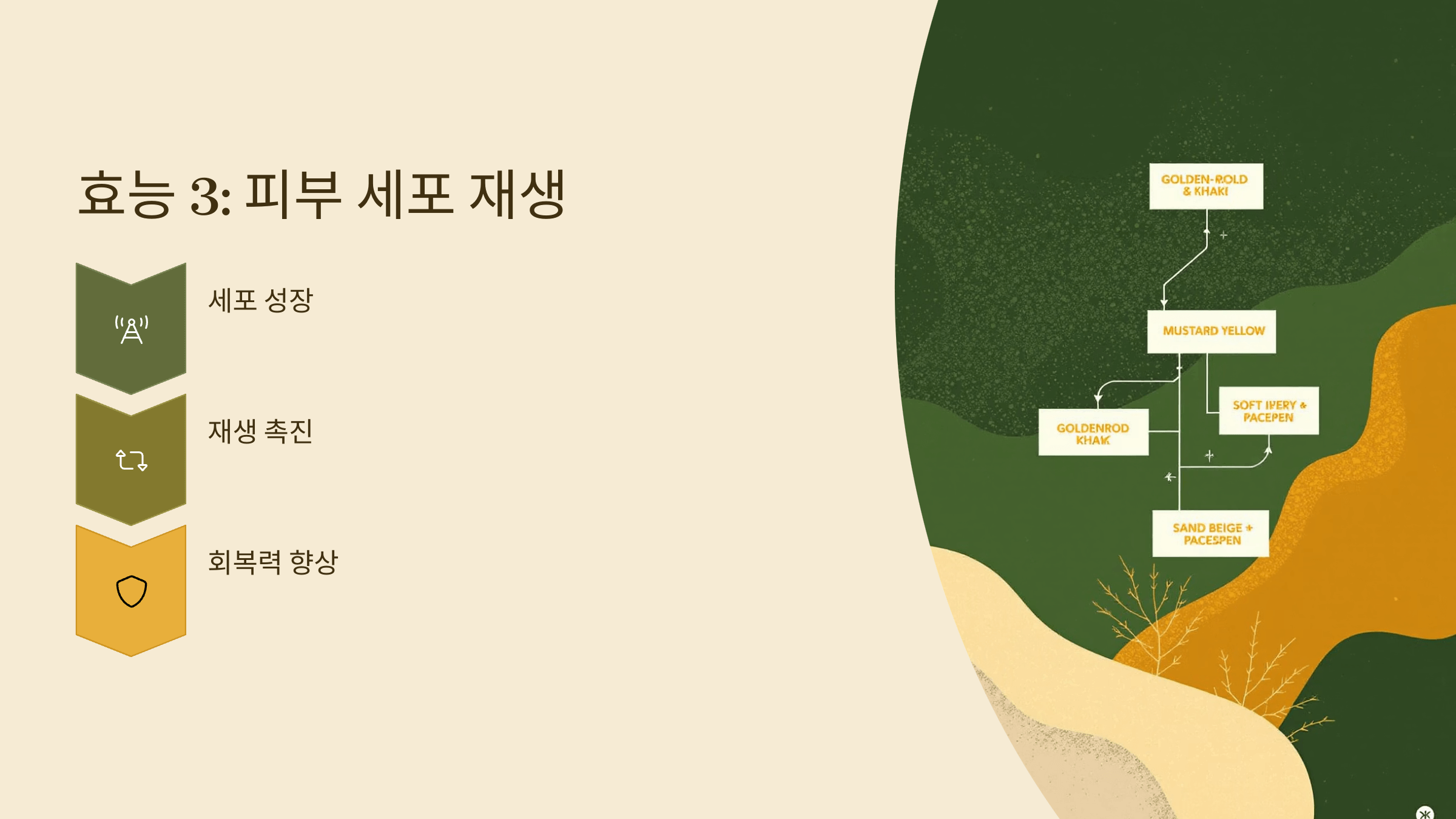 콜라겐 사진입니다.