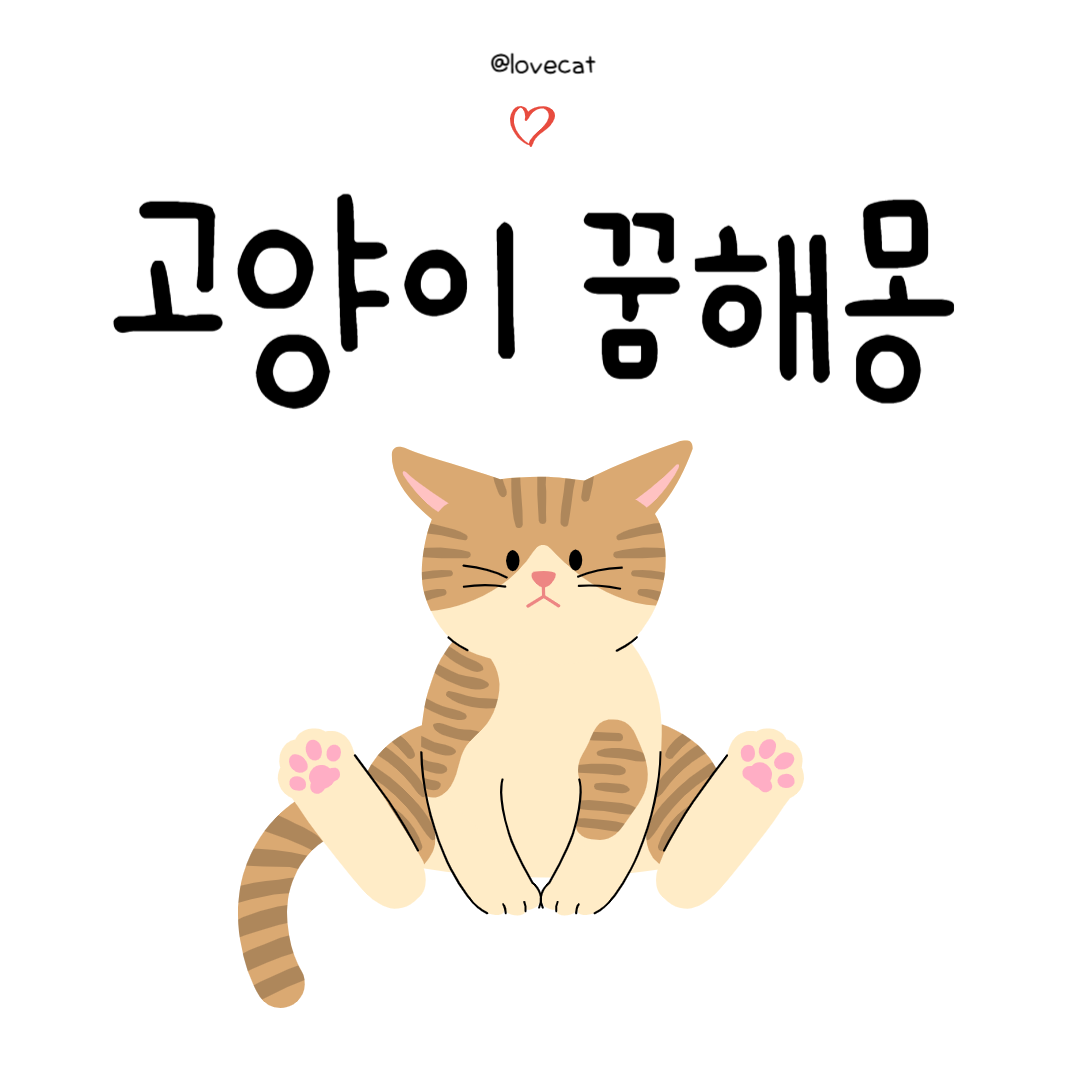 고양이 꿈해몽
