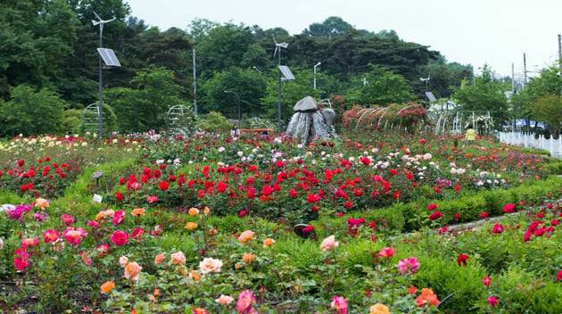 풍암호수공원