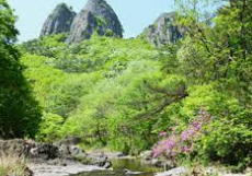 주왕산 국립공원 야영장 예약