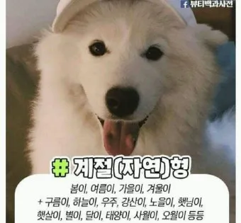 반려견 이름 작명 독특한 강아지 이름 제안_17
