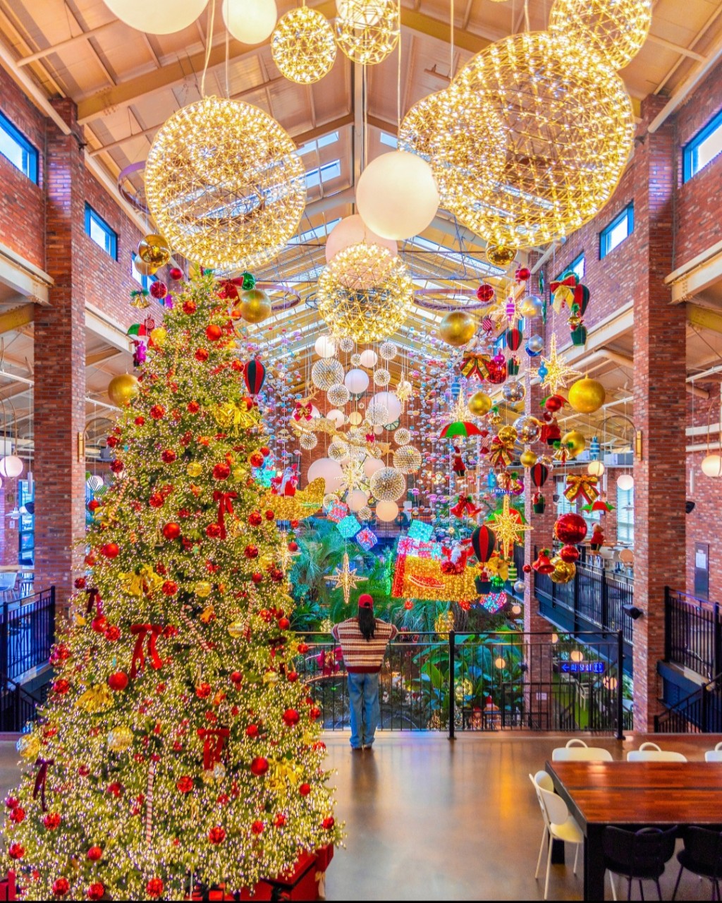 포레스트아웃팅스