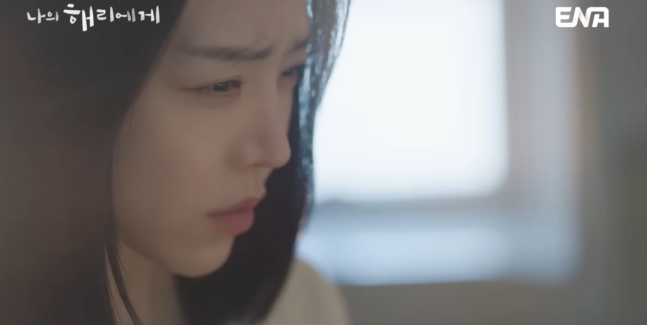 나의 해리에게 정보 등장인물 출연진 인물관계도