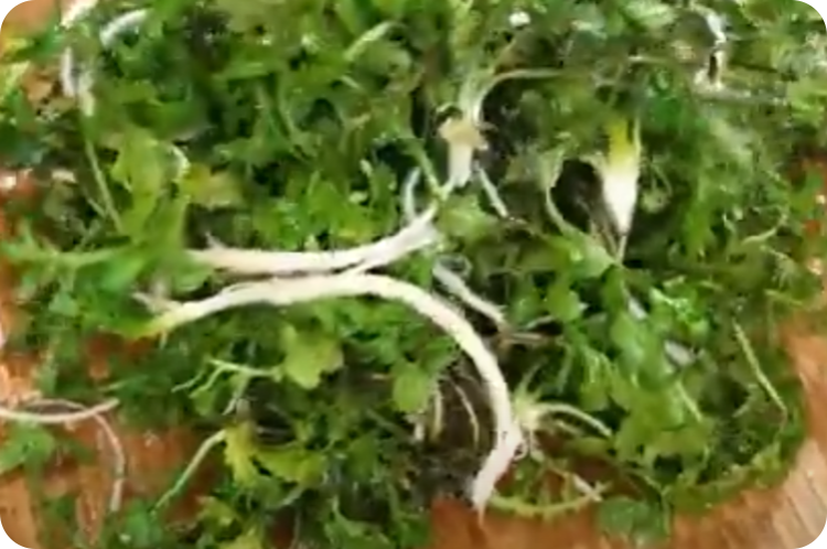 냉이된장국 레시피