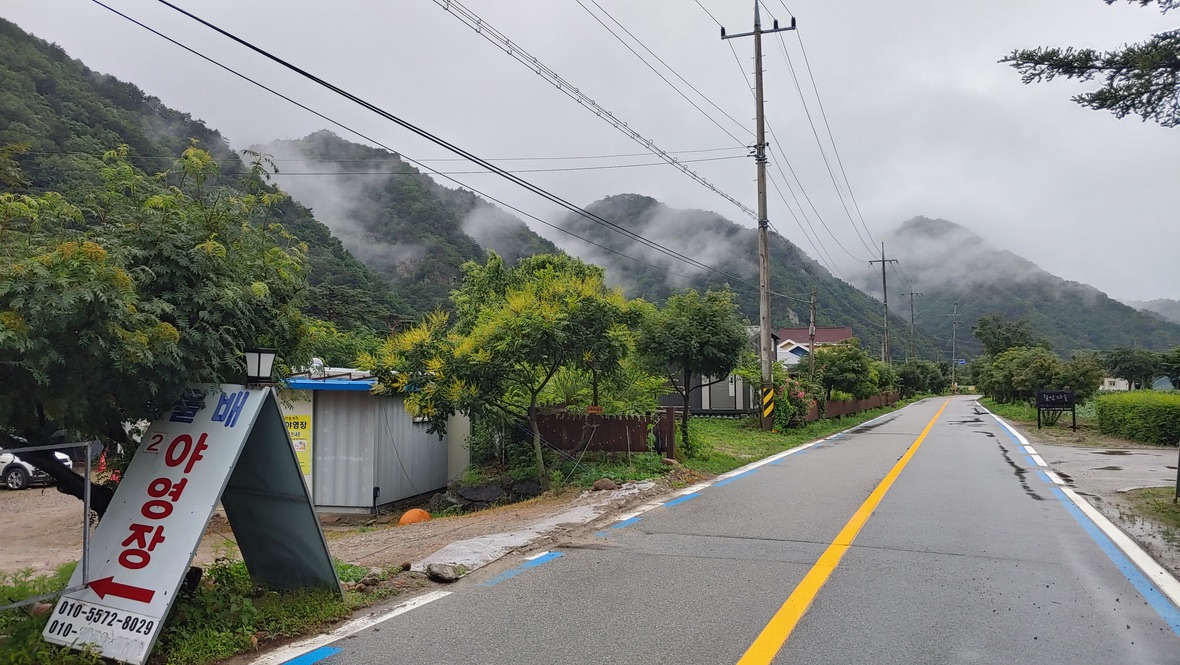 돌배2야영장 앞 도로 풍경
