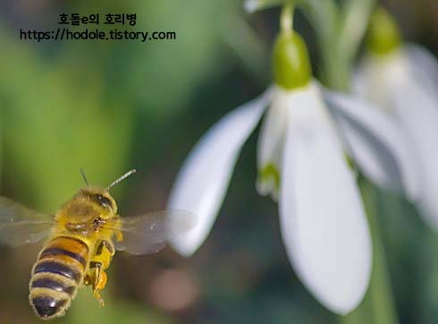 그러나좋은일이생길거에요