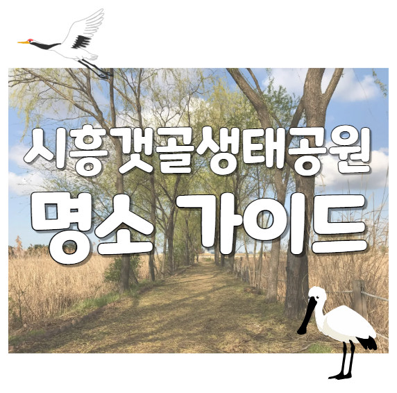 시흥갯골생태공원 숨은 명소 가이드