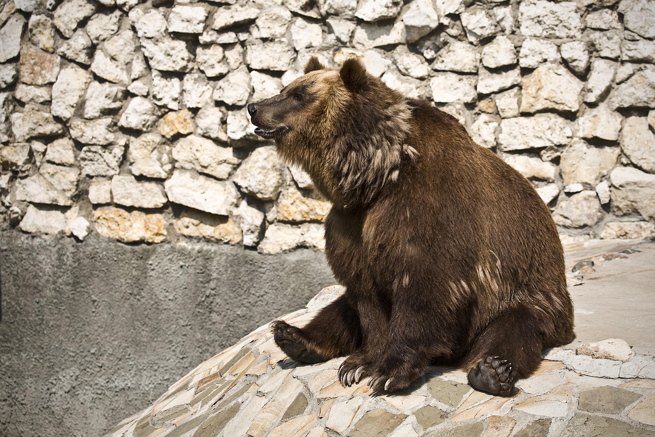 관성력과 좌표계 (뉴턴 법칙, 정지궤도, 멀미)