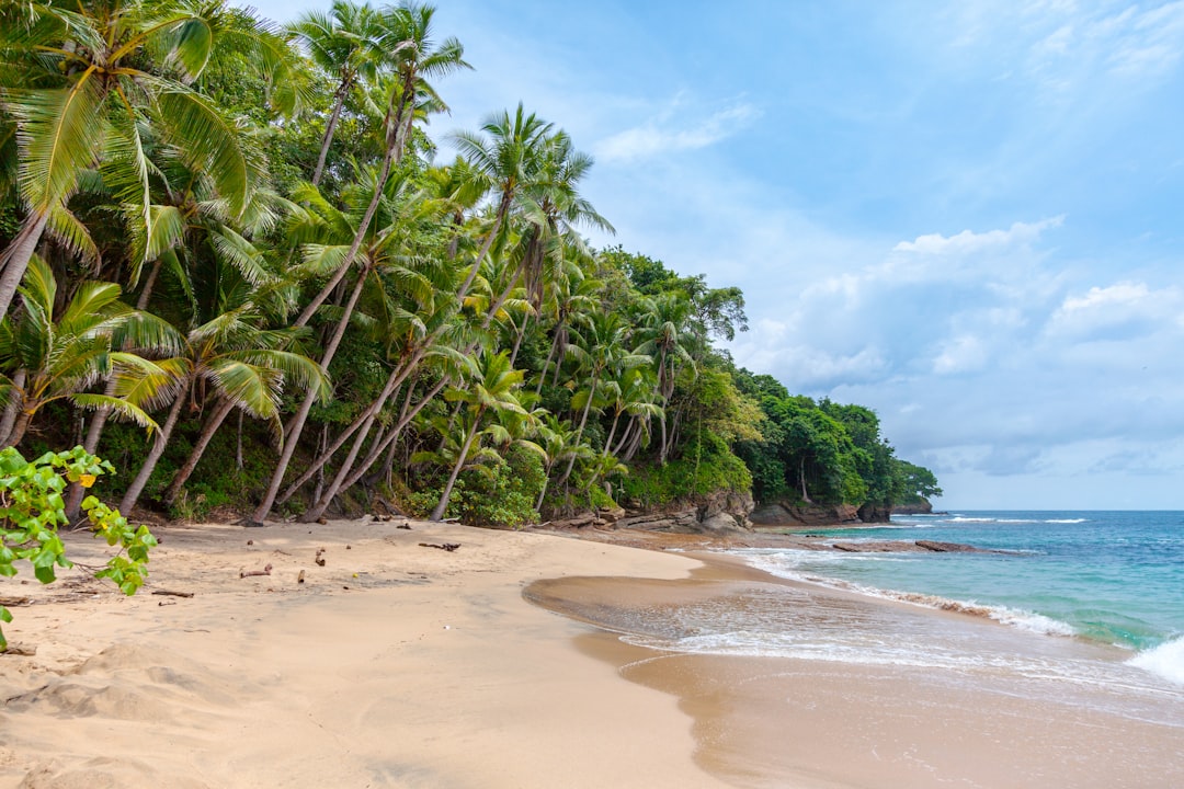 beach