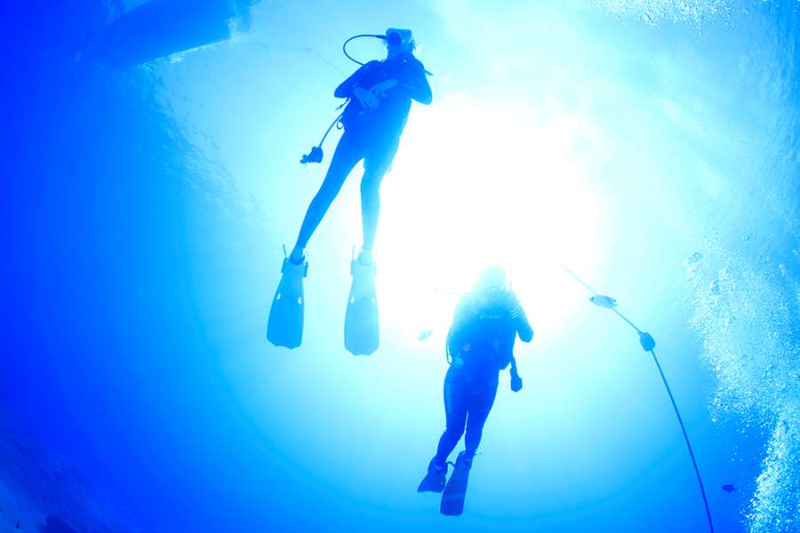 스쿠버다이빙 자격증