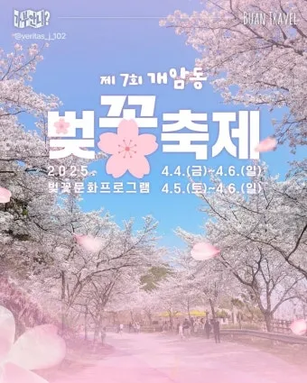&amp;quot;벚꽃
