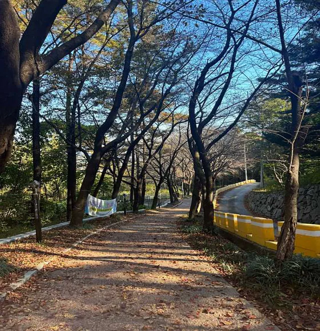 가야산