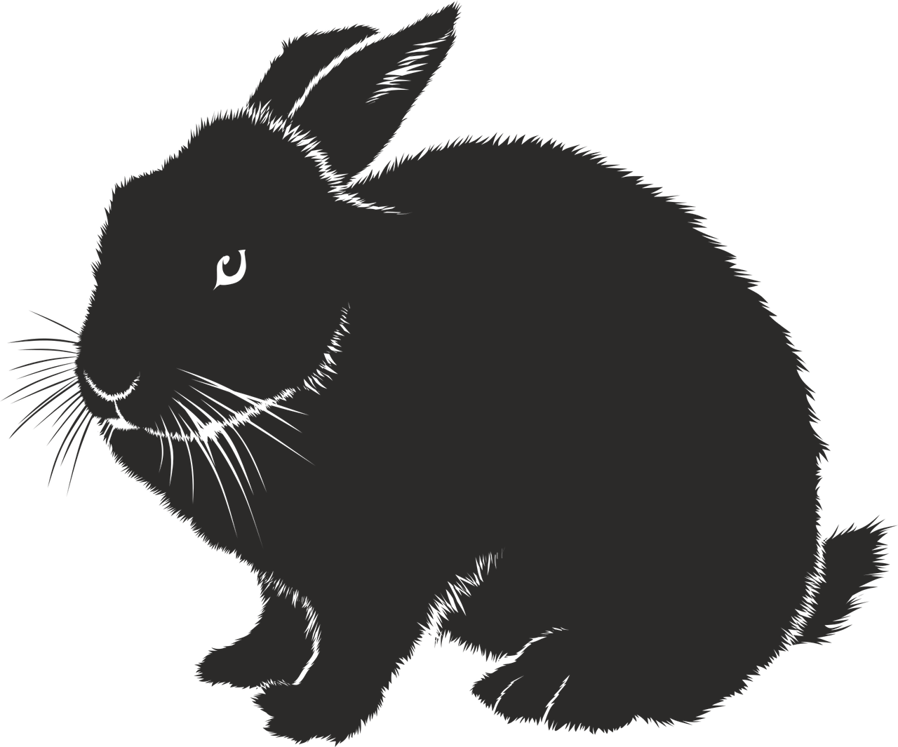 2023년 무슨띠 인가요? 계묘년 삼재띠