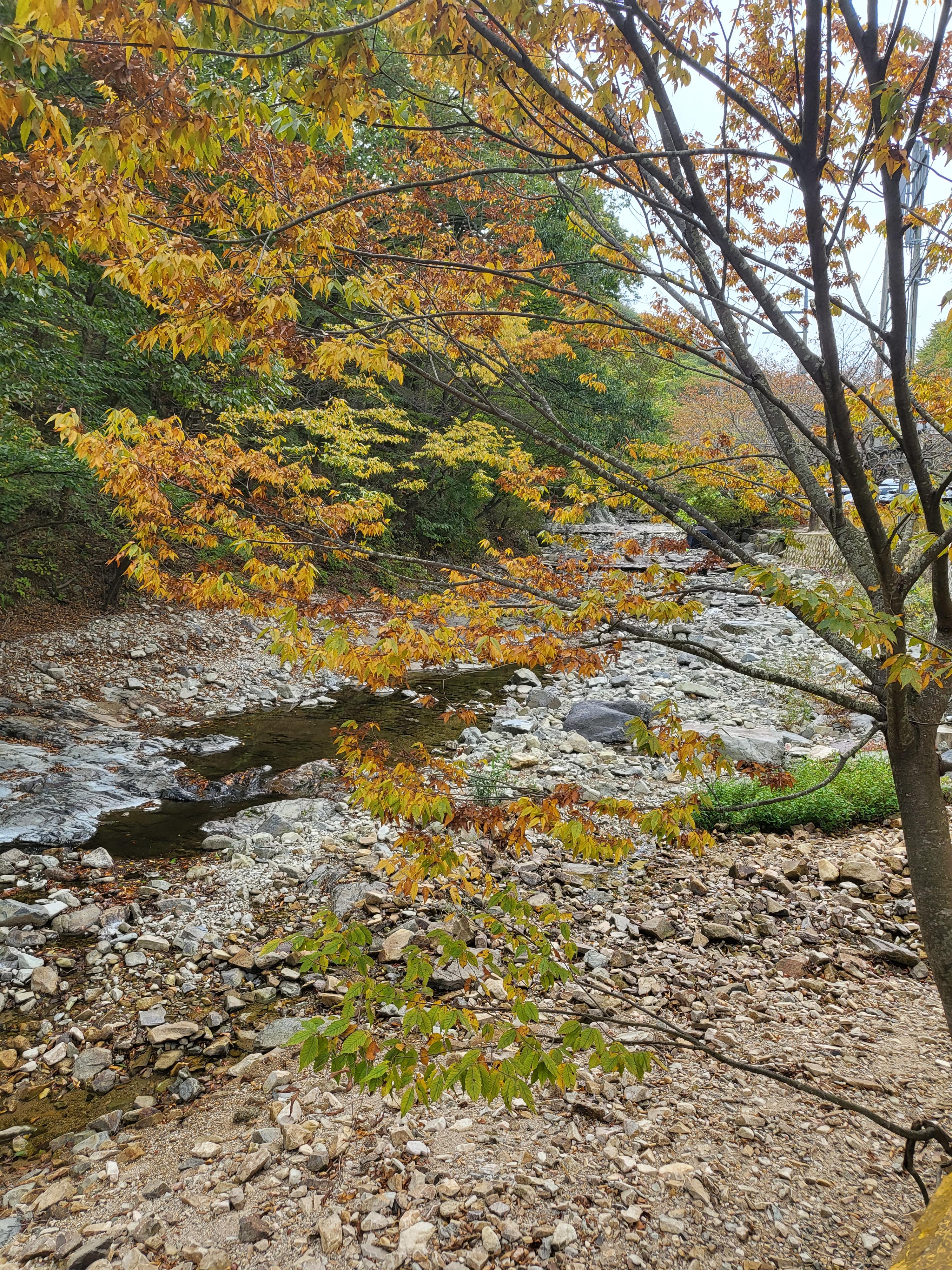 천년 고찰 장안사&amp;#44; 둘레 길을 따라 올라가면 운치 있는 백련암과 절벽 같은 곳의 척판암