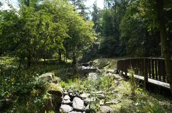 유명산 자연휴양림_5