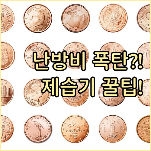 난방 시작 전 집중 가동: 제습기 활..