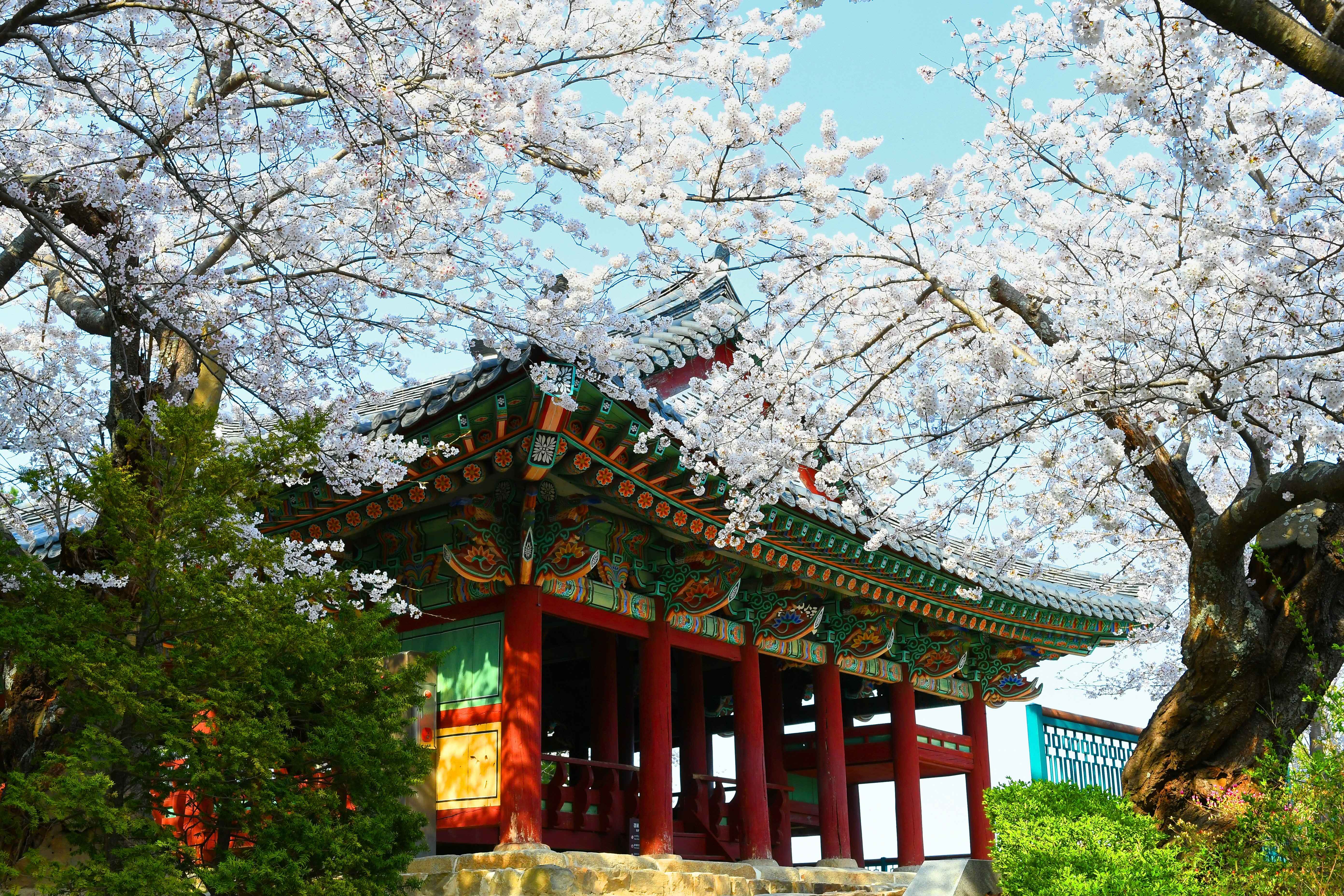 경포대 ⓒ한국관광공사 포토코리아 - 강원지사