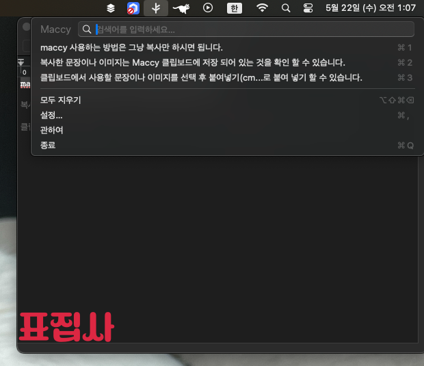 maccy 사용법 2