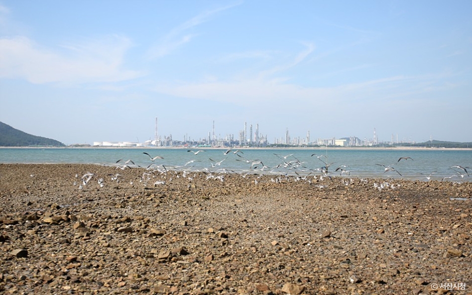 서산 가볼만한곳 베스트10