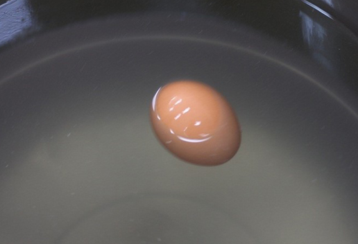염분농도