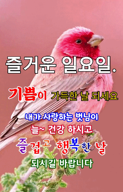 3. 일요일 인사말 8