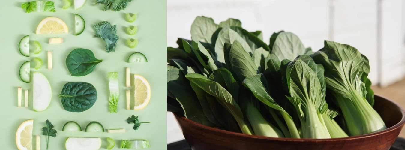 십자화과 채소 종류