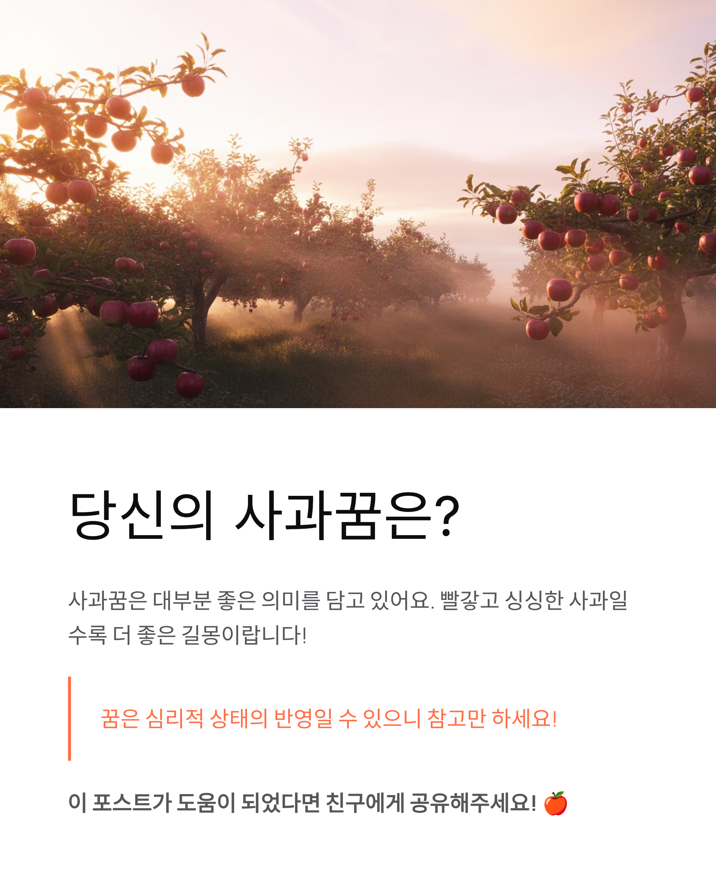 사과꿈 해몽 ❘ 빨간사과·사과먹는꿈·사과따는꿈 의미 (대박 길몽?)