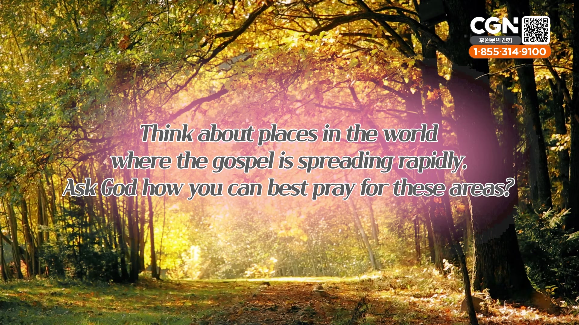 Think about places in the world where the gospel is spreading rapidly. Ask God how you can best pray for these areas?