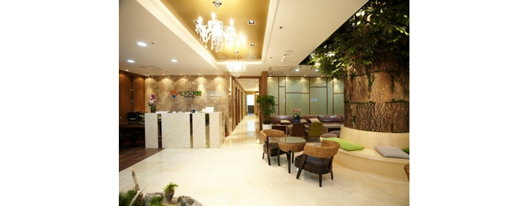 안양 동안구 고지혈증