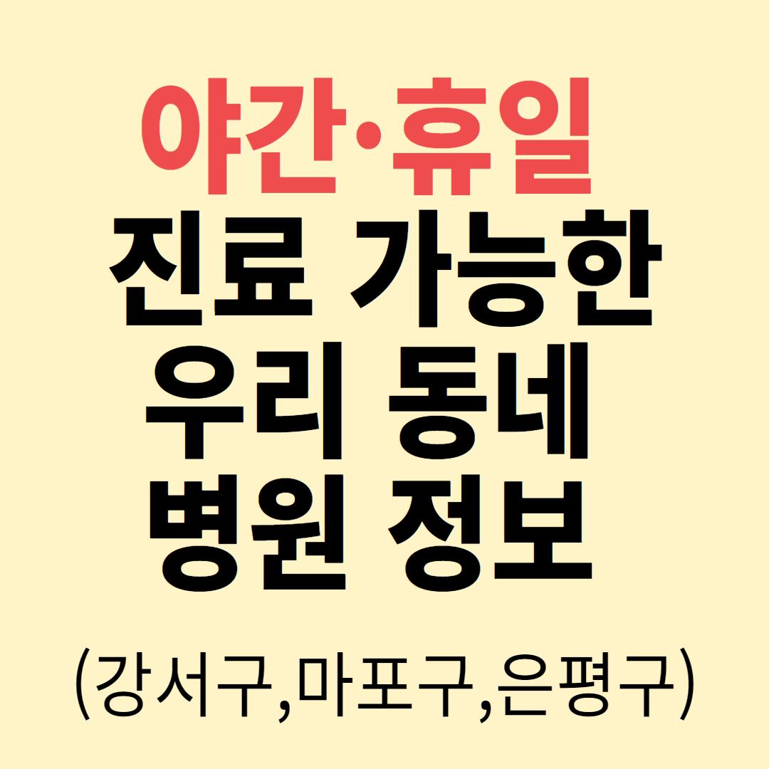 야간 휴일 진료 가능한 병원