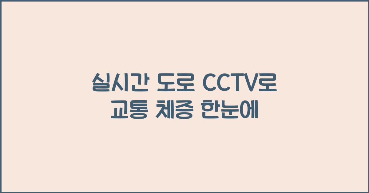 실시간 도로 cctv