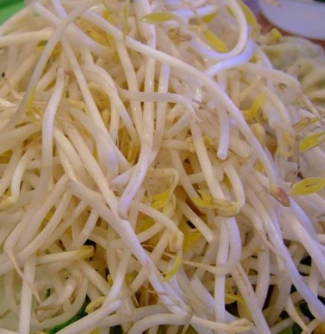 숙주나물의 효능 부작용 요리 고르는법