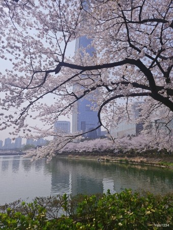 석촌호수 벚꽃축제 주차장