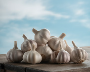 마늘 효능
