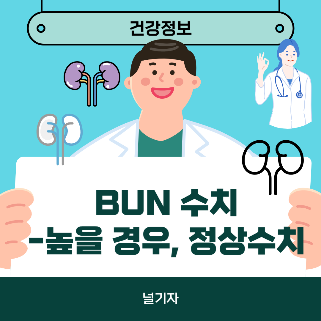 BUN 수치가 높을 경우, 정상수치