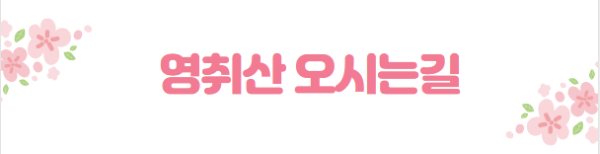 봄꽃 여행지