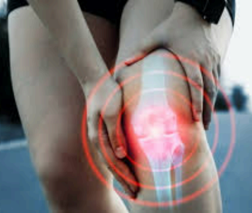 옵티머스트 관절약 효능 사진