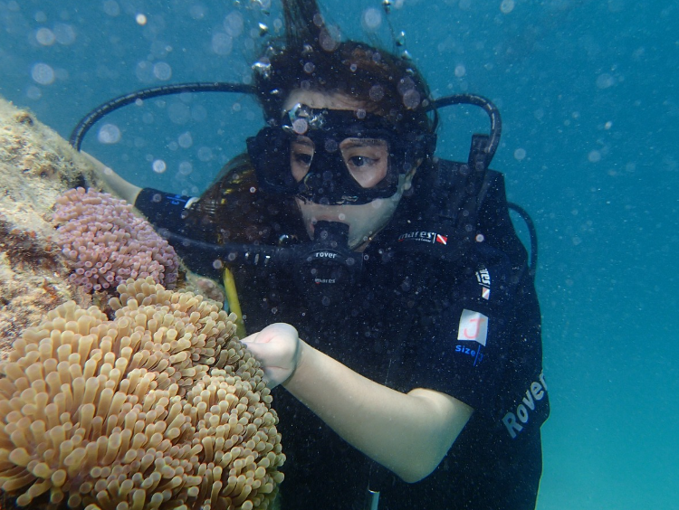 동남아시아 실린더