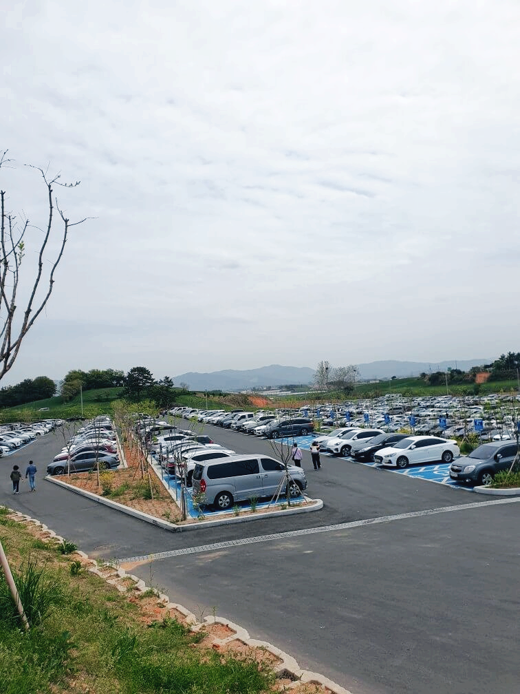 고창 청보리밭 축제