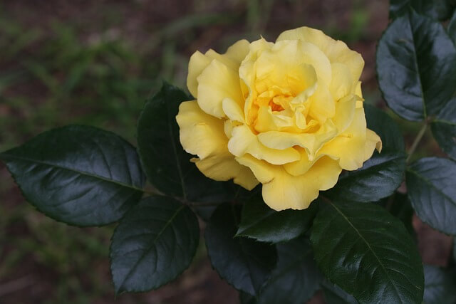 6월 가볼 만한 국내여행지