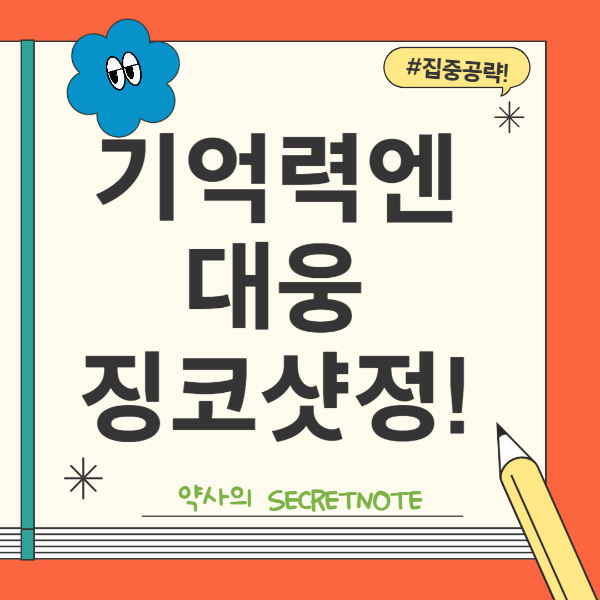 징코샷정