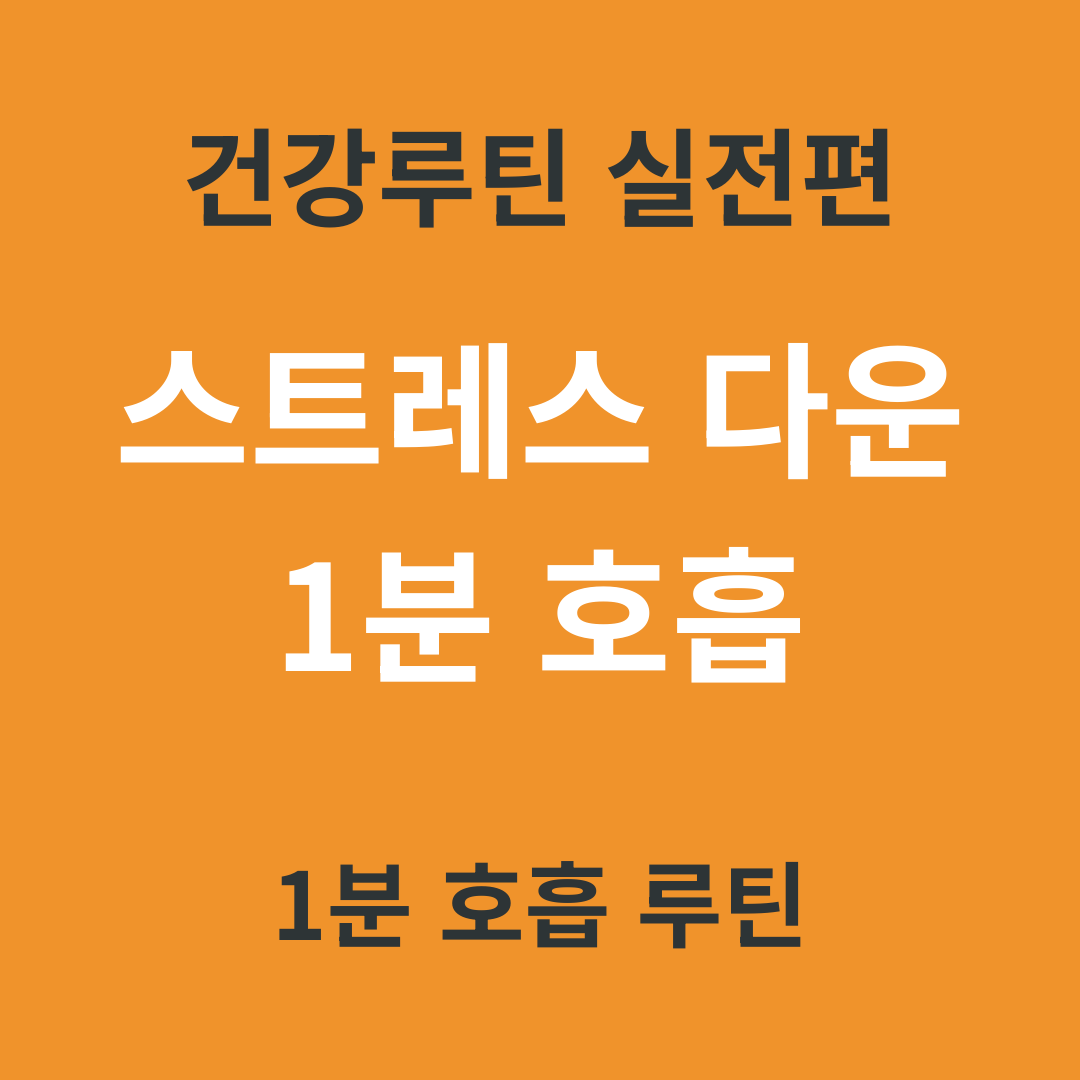 건강 루틴 실전편 11. 하루 스트레스 다운 1분 호흡