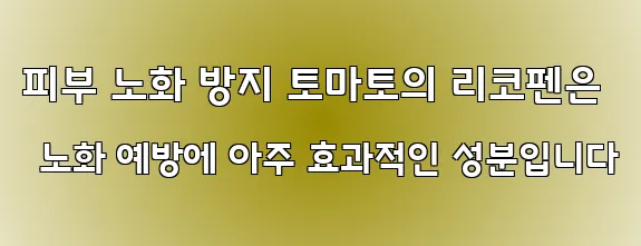 피부 노화 방지 토마토의 리코펜은 노화 예방에 아주 효과적인 성분입니다