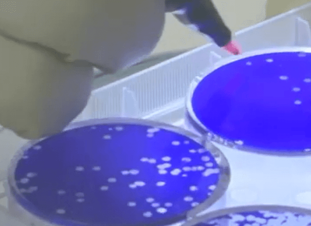 코로나19 연구 장면