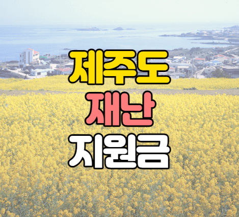 제주 4차 재난지원금