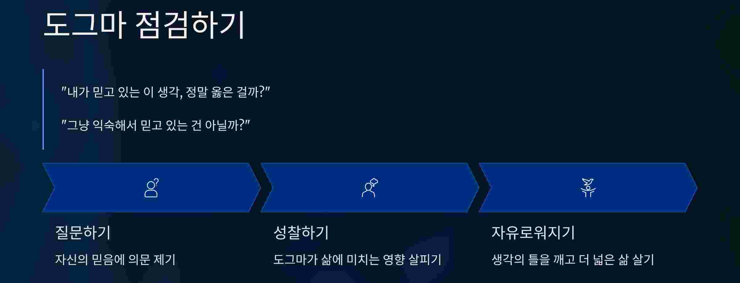 도그마-점검