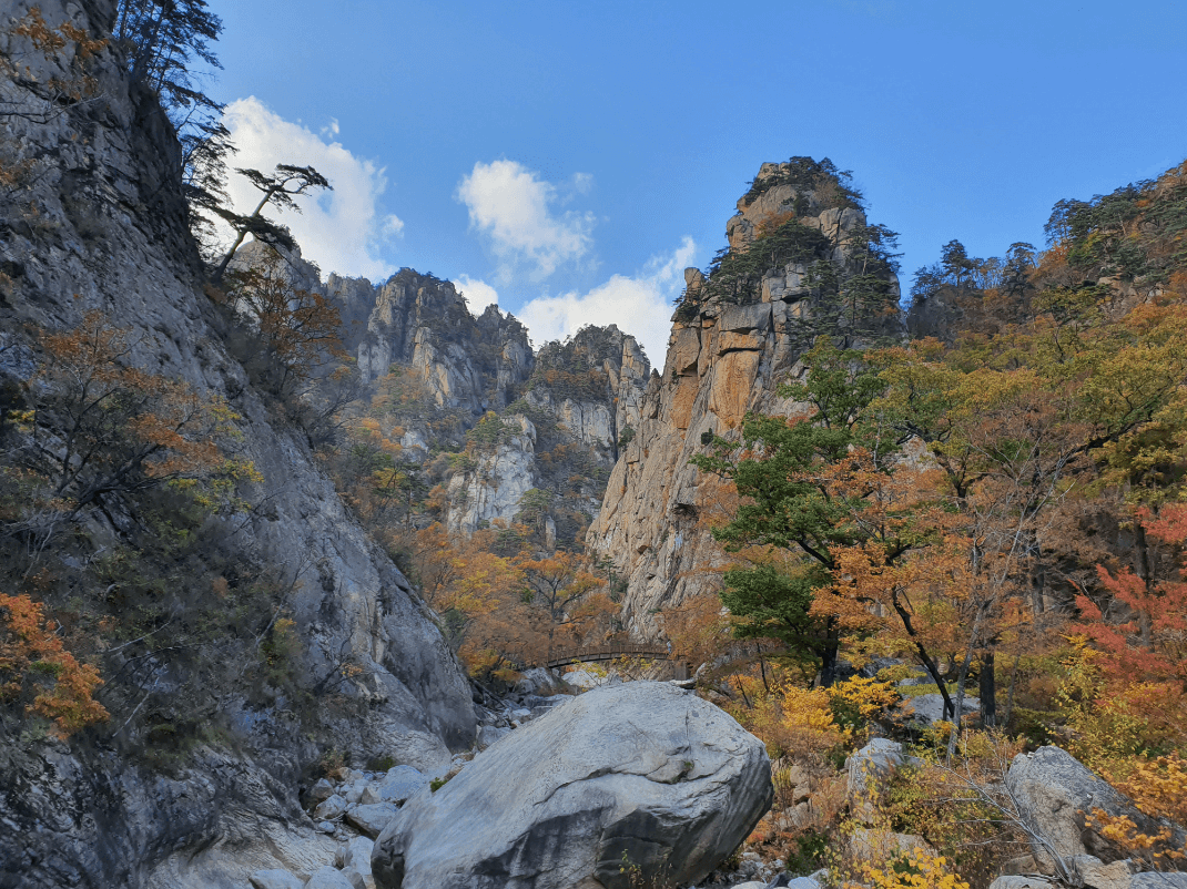 설악산 단풍