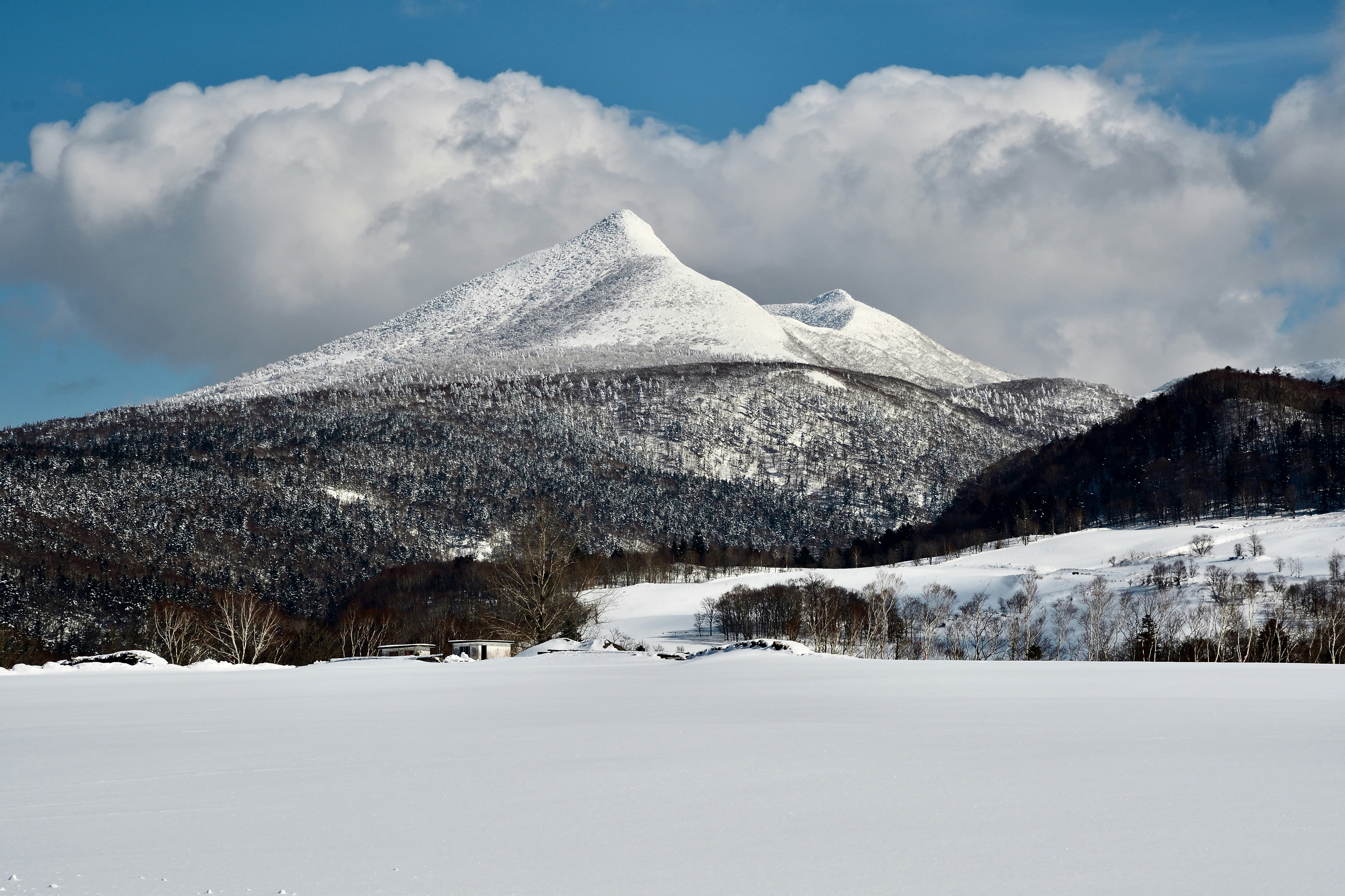 2025 서울 수도권 근교 겨울 이색 데이트 장소 추천