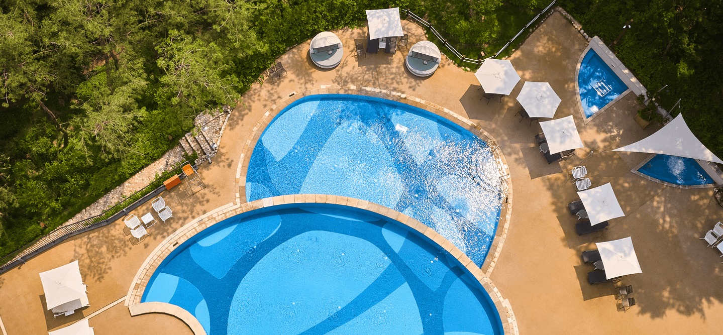 파라스파라 프라나오너스 관련 이미지