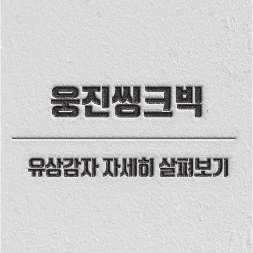 웅진씽크빅 유상감자